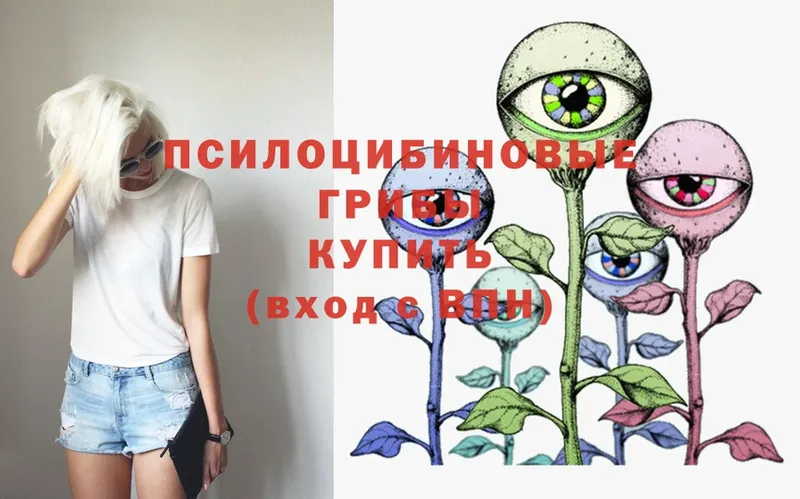 Галлюциногенные грибы Psilocybe  Кумертау 